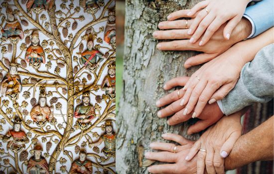 Crea tu árbol genealógico y descubre de dónde vienes