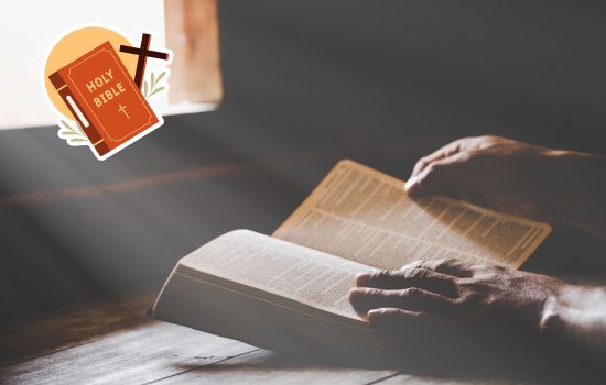 Descubre una nueva forma de acercarte a la Biblia desde tu celular