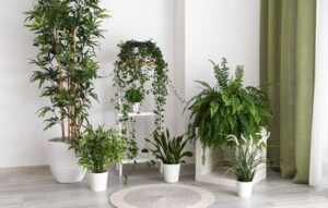 Tu jardín en el bolsillo